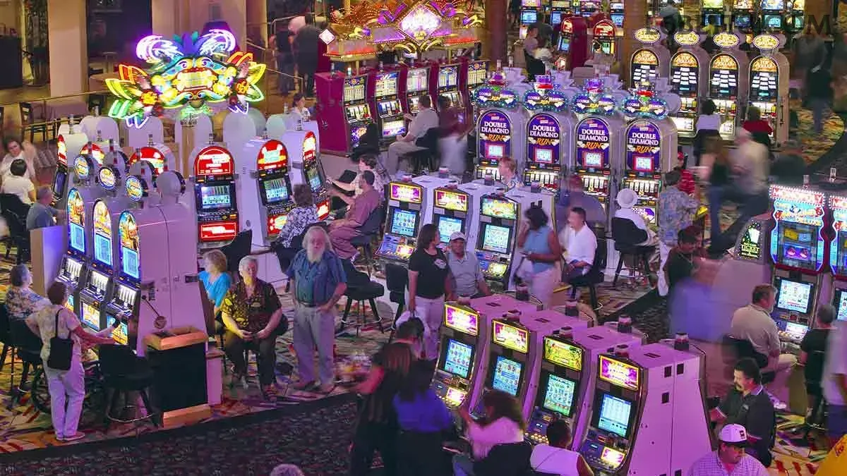 Fortune Tiger Slot Game